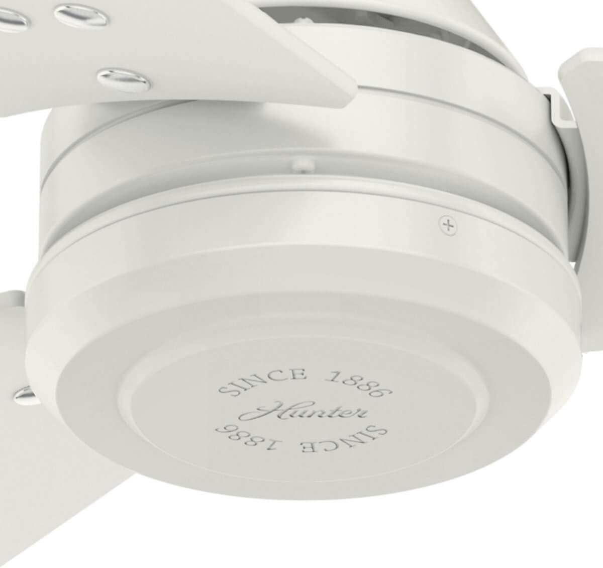 HUNTER FAN Ceiling Fan Protos 132 cm Indoor and Outdoor, and Wall control, Fresh White - Image 5