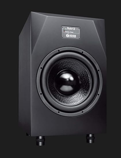 12 inch studio subwoofer