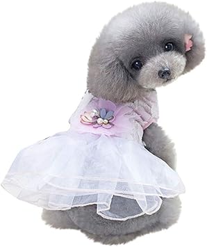 Amazon Co Jp Vinisath 犬の服 ワンピース 犬用 可愛いファンタジーバレエスカート tシャツ コスチューム 可愛い お姫様 バラ レース ペットドレス 犬猫洋服 ワンちゃん 仮装 春 夏 シンプル ペット服 脱毛保護 Pet Supplies
