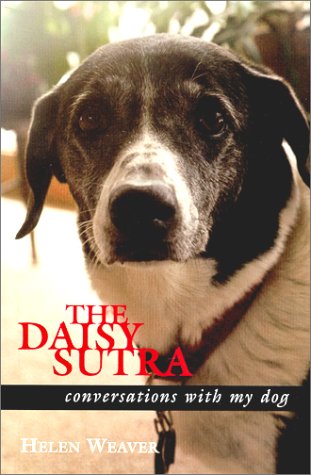 The Daisy Sutra by Helen Weaver