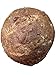Organic Sprouted Wheat Ezekiel Bread by 20 Shekels - Fresh Baked Bread, High Protein, Fiber, Non GMO, Healthy Organic Food - 16oz each - (2 PACK)