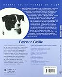 Image de Border Collie (Nuevas Guias: Perros De Raza / New Guides: Dog Breeds) (Spanish Edition)