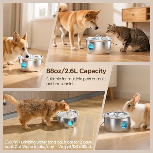 Fontanella Per Gatti Acciaio Inox: 2.6L Fontana per Gatto - Automatico Fontanella Gatto - Super Silenzioso Dispenser Acqua Gatti