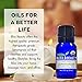 Organic, Cedarwood Oil - Premium 100% Pure, USDA Organic, Natural Therapeutic Grade, baby-oils, hair-treatment-oils, body-oils, facial-oils, scented-oils (10 ml)