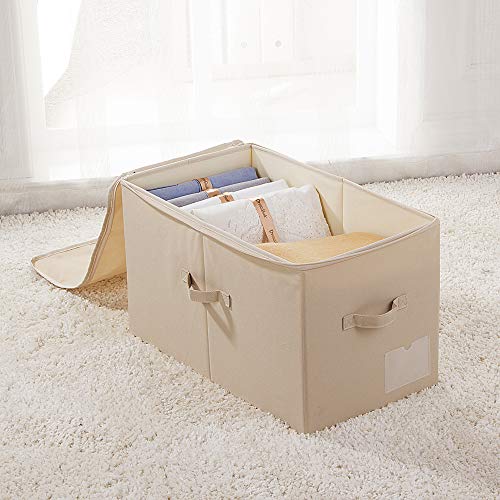 iwill CREATE PRO 22"(L) X13(W) X12.6(H), Large Closet Storage Box with