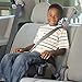 Chicco KidFit 2-in-1 Belt-Positioning Booster Car Seat, Wimbledon