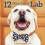 12 Uses for a Lab 2019 Wall Calendar (Dog Breed Calendar) by 