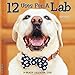 12 Uses for a Lab 2019 Wall Calendar (Dog Breed Calendar) by 