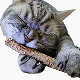 Ikevan 2PCS Pet Cat Kitten Chew Stick Toy Catnip Molar