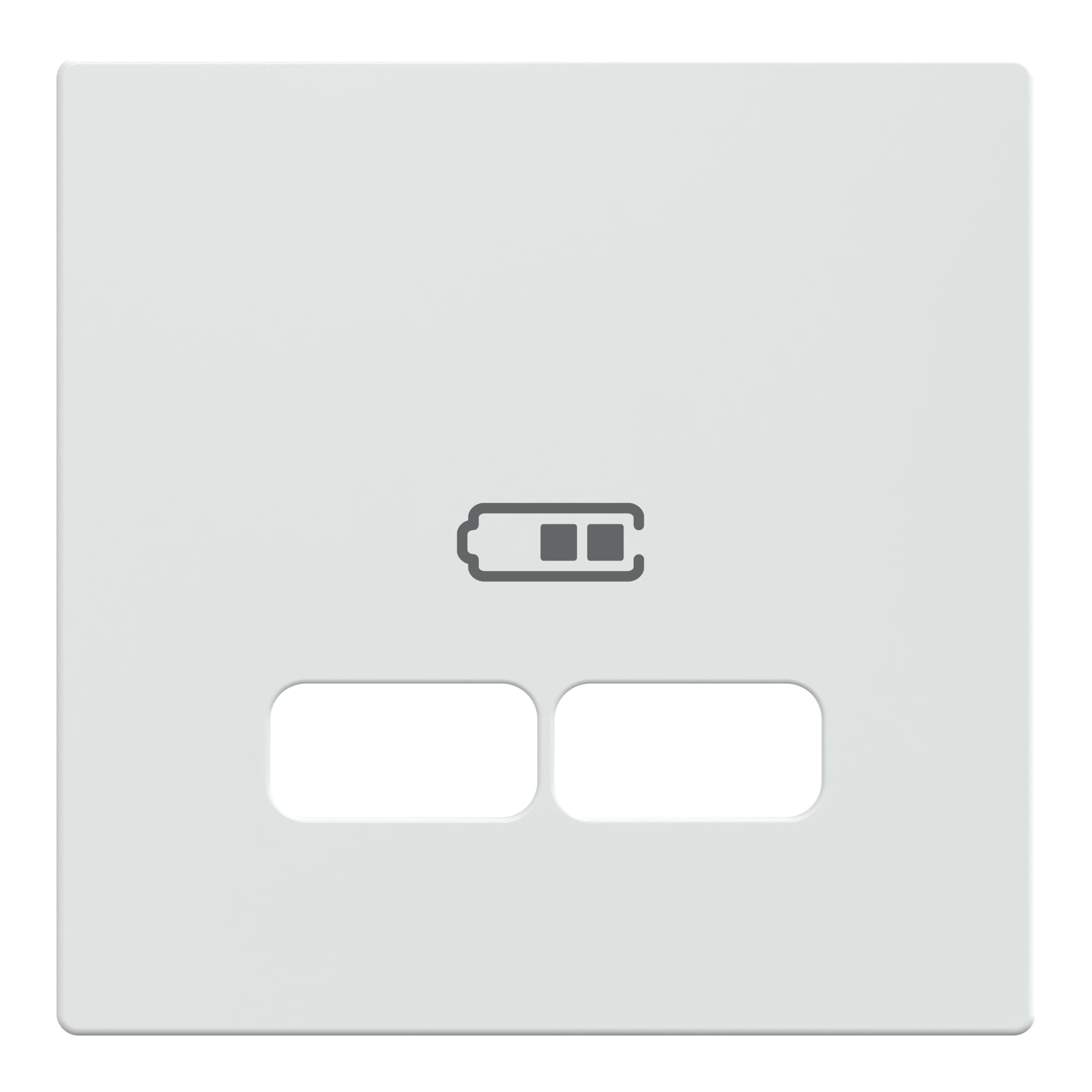 Schneider Electric Merten MEG4367-0325 Central Plate for USB Charging Station Insert, Active White Glossy, System M