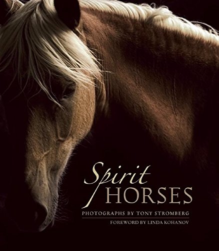 Spirit Horses by