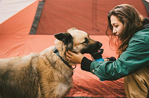 3 Highwave+SYNCHKG071299+AutoDogMug+Blue