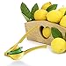 Top Rated ACLUXS Premium Quality Metal Lemon Lime Squeezer - Manual Citrus Press Juicer