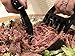 Pulled Pork Claws Meat Handler Forks