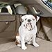 FrontPet SUV Cargo Liner for Dogs - Water-Resistant Pet Trunk Cargo Cover Mat for SUVs and Sedans with Bumper Flap Protector, Trunk Cover, Non-Slip Liner, (35