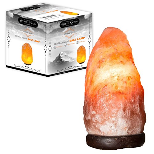 cheap gift items on amazon related to Home & Kitchen collection of amazon items that are Salt Lamps, under $20, under $25
