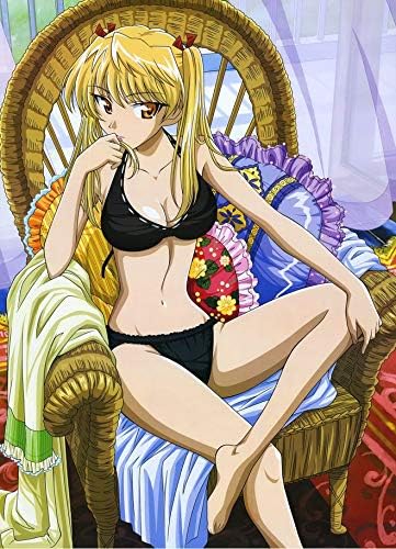 Get Amazon Com School Rumble Ni Gakki 14inch X 19inch Plastic Poster Desktop Wallpaper Free Get Wallpaper Amazon Com School Rumble Ni Gakki 14inch X 19inch Plastic Poster For Free