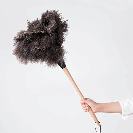 Amazon Co Jp Homeland 毛ばたき ほこり取り 柔らかい 清掃用 ホーム キッチン