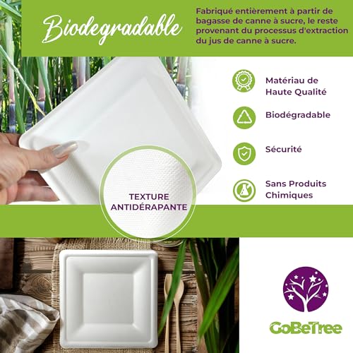 GoBeTree 100 x 26cm White Sugarcane Square Disposable Paper Plates Extra Durable Disposable Paper Plates for Camping, Picnics, Parties, BBQs, Birthdays
