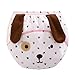 Big Elephant Unisex-Baby Toddler 3 Pack Cute Training Pants Underwear Assortment B93 (6-12 Months) (Tag Size:80)