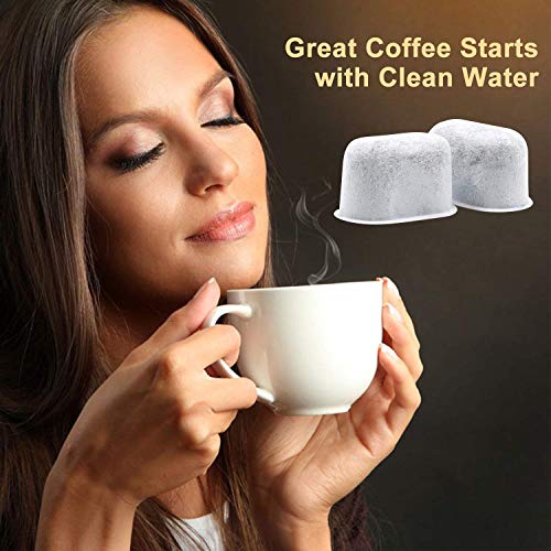 Charcoal Water Filters Replacements Fits Keurig 2.0 Models by Possiave, Pack of 6