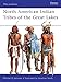 North American Indian Tribes of the Great Lakes (Men-at-Arms, 467)