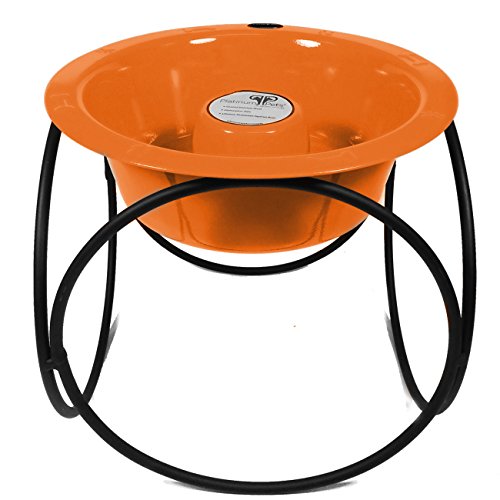 Platinum Pets Slow Eating Single Olympic Diner Feeder with Stainless Steel Dog Bowl, Hunter Orange