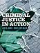 Criminal Justice in Action