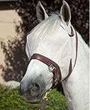 Kensington Natural Fly Mask with Webbing for Horses — Protects Horses Face and Eyes From Flys and UV Rays — Breathable and Non Heat Transferring Makes it Perfect Year Round , Grey