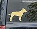 Minglewood Trading Bull Terrier custom vinyl decal sticker 5