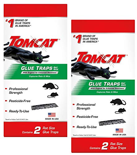 Tomcat Rat Glue Trap W/Eugenol (2 Pack)