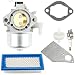 Harbot 690119 694526 Carburetor with 691643 Air Filter Tune Up Kit for Briggs and Stratton 690115 690111 19G412 19E412 192432 192402 192412 Engines primary
