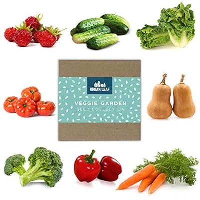 Vegetable Seed Variety Pack for Planting on Your Patio or Urban Garden - Tomato, Bell Pepper, Lettuce, Squash, Cucumber, Carrot, Strawberry and Broccoli