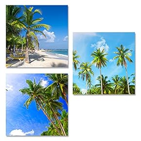 Canvas Wall Art Tropical Theme Sunshine Ocean and Beach Painting Artwork for Home Prints Framed - 12"x12"x3 Panels