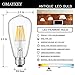 OMAYKEY 6W Dimmable LED Edison Bulb 60W Equivalent 3000K Soft White 600 Lumens, E26 Base Vintage ST64 Edison Style Clear Glass LED Filament Light Bulbs, 360 Degree Beam Angle, Pack of 6