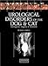 Urological Disorders of the Dog and Cat: Investigation, Diagnosis, Treatment by Peter E Holt, Alasdair Hotson-Moore
