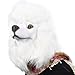 PARTY STORY Poodle Dog Mask Latex Animal Full Head Mask Novelty Halloween Costume Rubber Masks