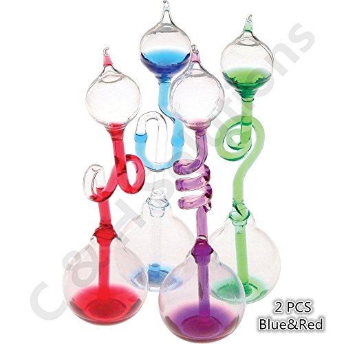 C&H Solutions Colorful Office Thinking Hand Boiler, Glass Science Energy Transfer, Children Science Experiment, Love Birds Color Meter Hand Boiler, 2 Pcs (Blue&Red) By