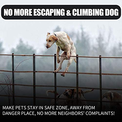 Wireless Dog Fence Electric Pet Containment System, In-Ground Dog Fence Design Underground Hidden Dog Fence, Waterproof Rechargeable Collar Easy Setup (2 Dog System) - Thumbnail 2