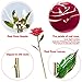 DEFAITH 24K Gold Dipped Real Rose Gifts, Best Wedding Anniversary Valentines Day Love Gift for Her Wife Girlfriend Spouse, Deep Pink with Stand