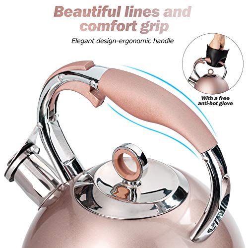 Tea Kettle 3 Liter induction Modern Stainless Steel Surgical Whistling