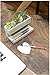 Kikkerland Concrete Desktop Planter, Large (PL02-L)