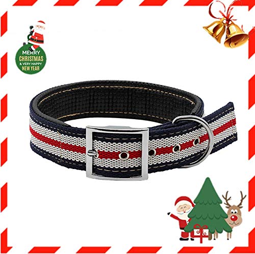 Petfu Personalised Luxury Leather Dog Collar, with Padding, Robust, Medium/Large, White