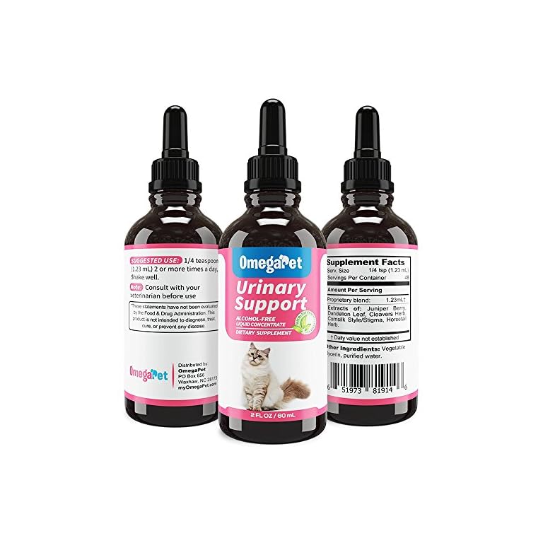 Fur Goodness Sake Best Natural Cat UTI Treatment Holistic Cat UTI