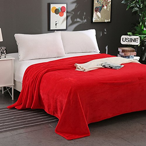 image for Onegirl Decor Onegirl Super Soft Warm Advanced Micro Plush Flannel Thr
