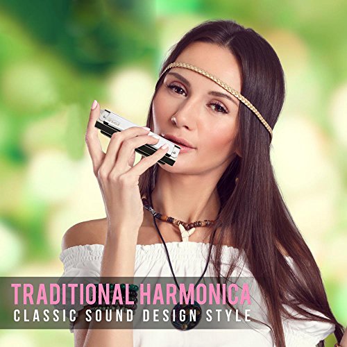 image for Pyle Professional Stainless Steel Metal 10 Hole Chromatic Harmonica Ki