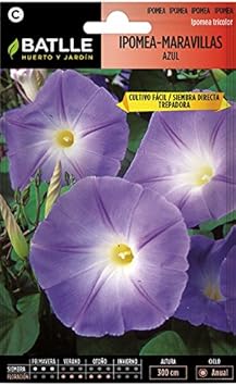 Semi Di Fiori Ipomea Meraviglia Rossa - Batlle, Per Gazebo E Aiuole, Fioritura Estiva