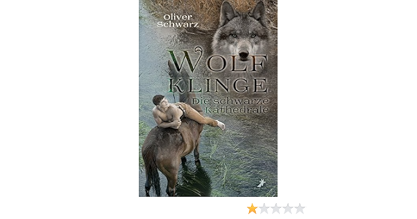 Wolfklinge Die Schwarze Kathedrale Schwarz Oliver 9783960890010 Amazon Com Books