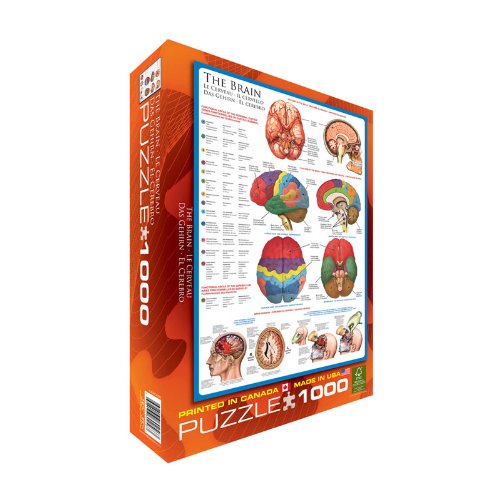EuroGraphics Human Body (The Brain) 1000 Piece Puzzle