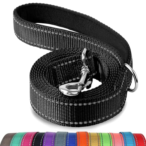 Joytale Reflective Dog Leash
